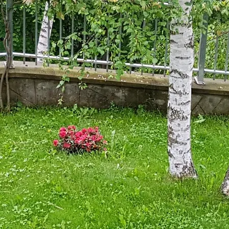 Il Riposo Del Guerriero Bed & Breakfast